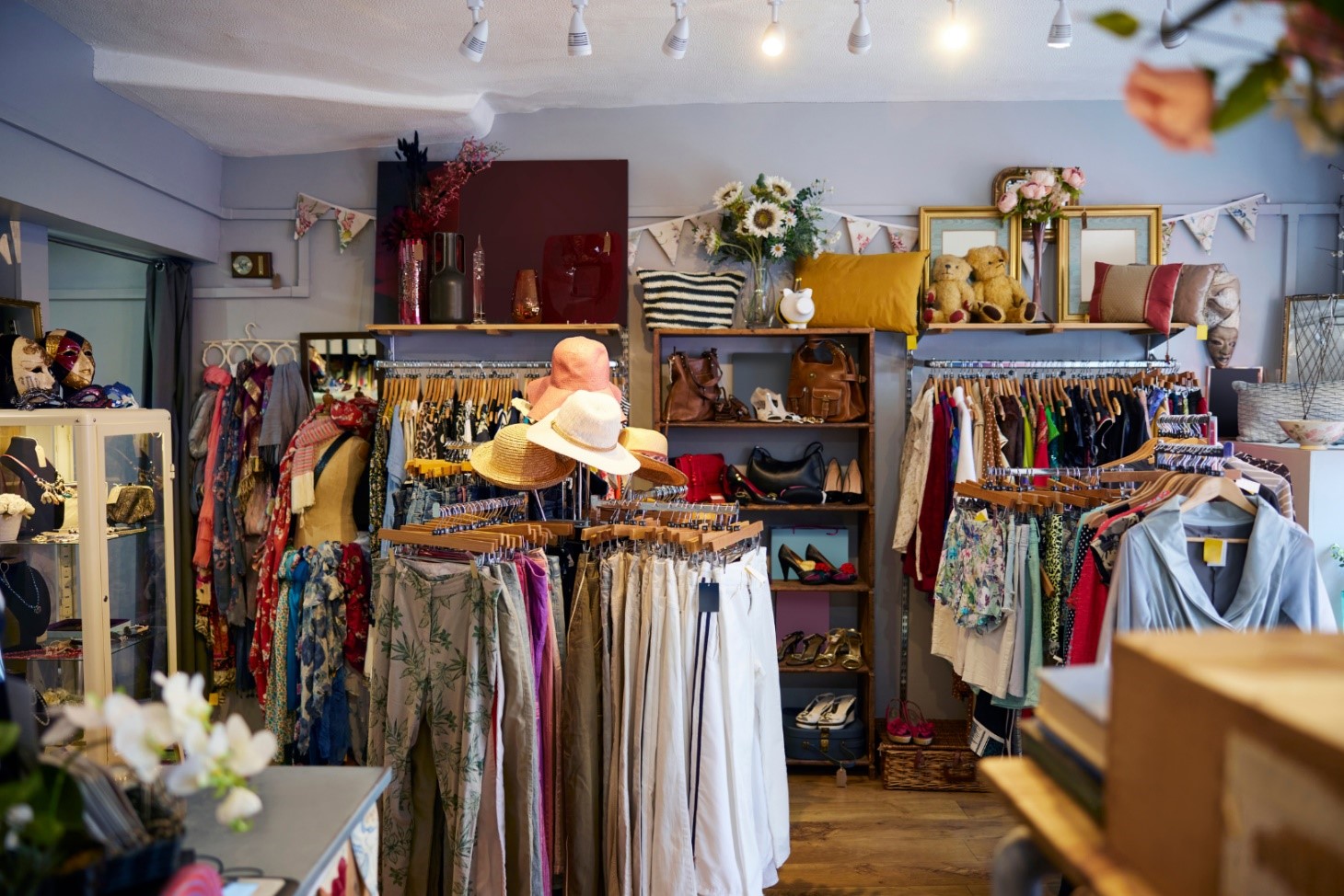 An eclectic charity shop with a boutique-like ambience.