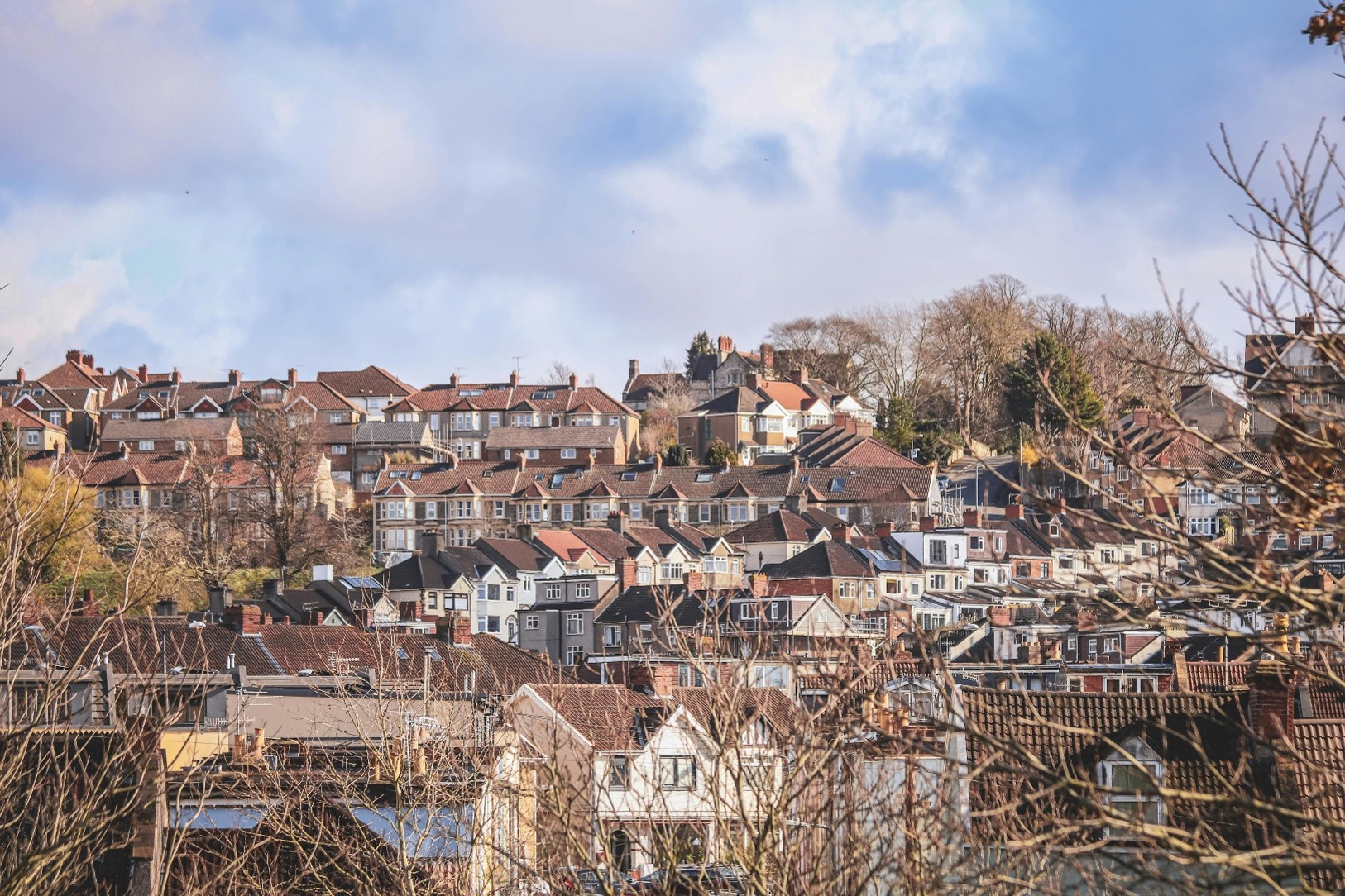 Rows of Bristolian houses, with bare tree branches in the foreground.